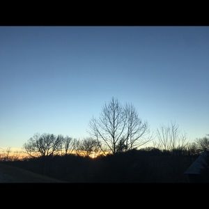 Meet your Posher, Sandy